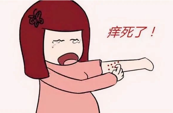 ϺƤҽԺ